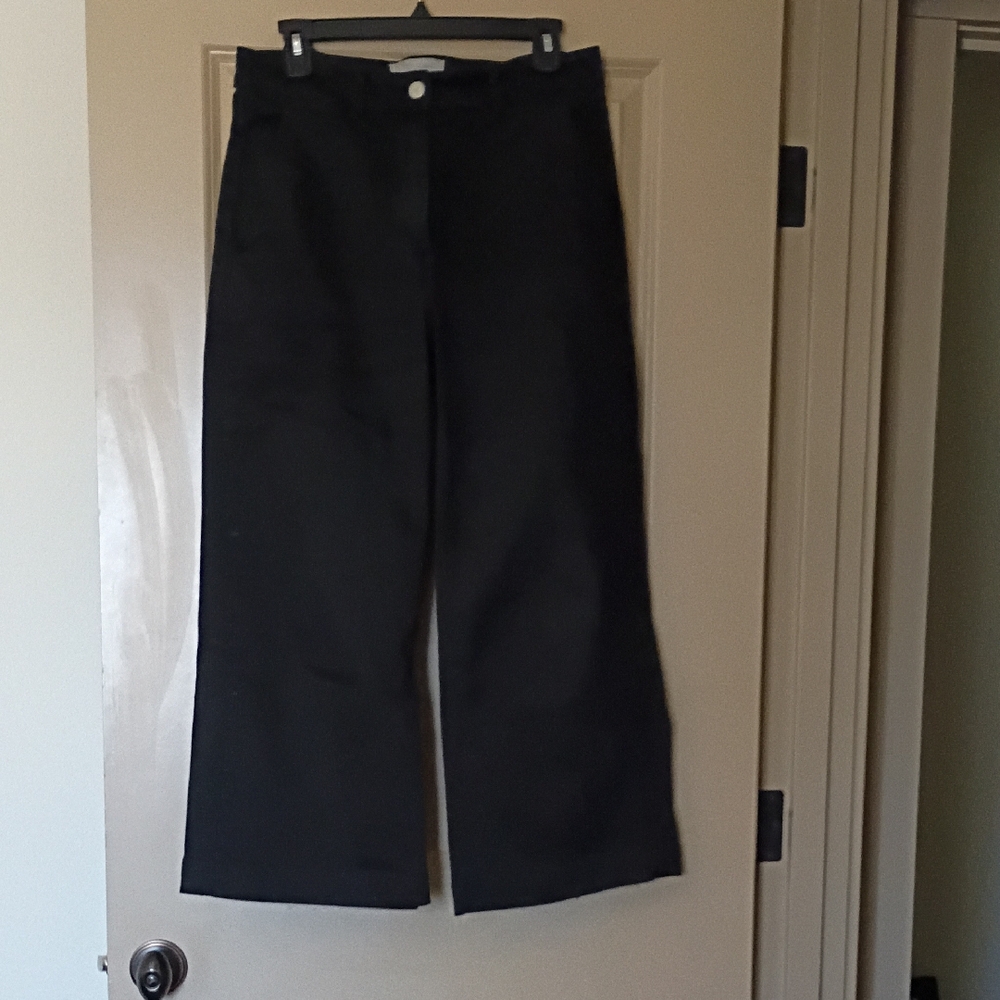 Everlane Wide Leg Pants Size 10, Black